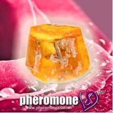 Amber Rose Fragrance Concentrate