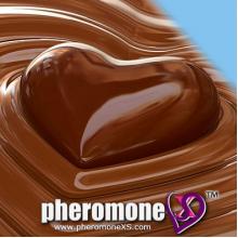 Le Chocolat Fragrance Concentrate